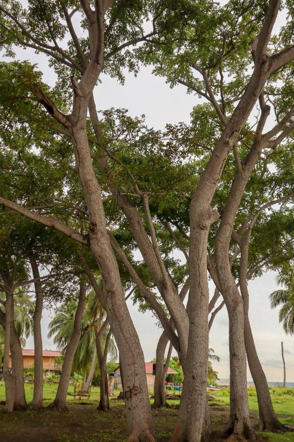 Dahlandia Villa Isla Mucura Luaran gambar